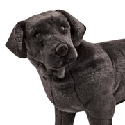 Black Lab Giant Stuffed Animal F2