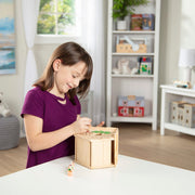 Created by Me! Birdhouse Wooden Craft Kit J6