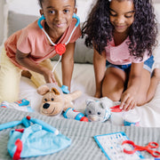 Examine & Treat Pet Vet Play Set W0