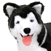 Husky Giant Stuffed Animal R1