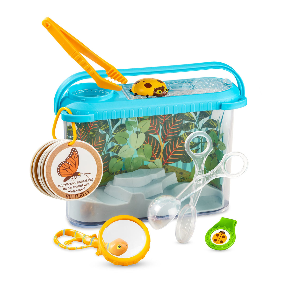 Let’s Explore Terrarium Observations Play Set O4