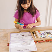 Natural Play: Play, Draw, Create Reusable Drawing & Magnet Kit – Dinosaurs M4