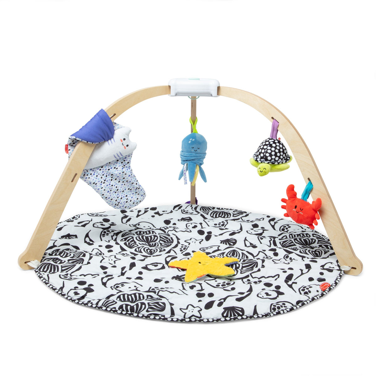 Ocean Easy-Fold Play Gym R4