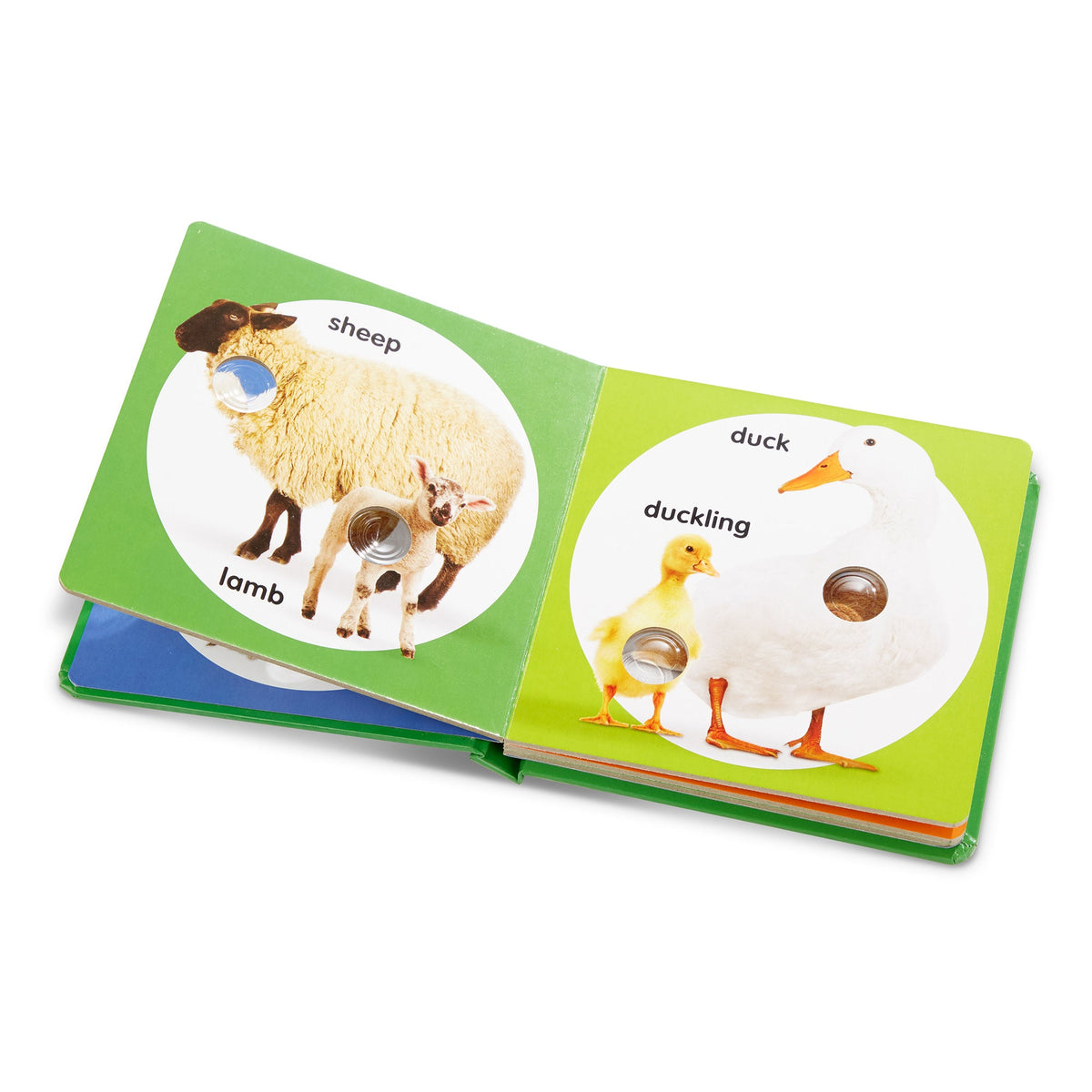 Poke-a-Dot: Farm Animal Families Board Book K9