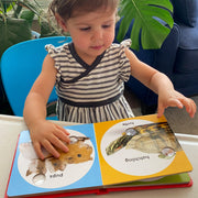 Poke-a-Dot: Pet Families Board Book A1