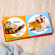 Poke-a-Dot: Pet Families Board Book A1