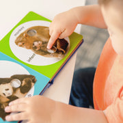 Poke-a-Dot: Wild Animal Families Board Book O6