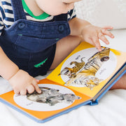 Poke-a-Dot: Wild Animal Families Board Book O6