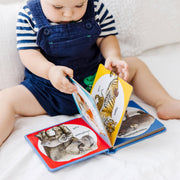 Poke-a-Dot: Wild Animal Families Board Book O6