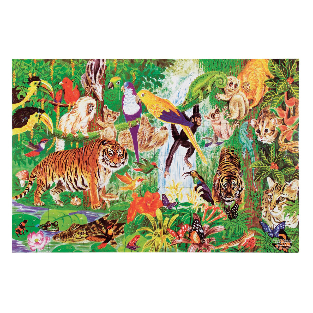 Rainforest Floor Puzzle - 48 Pieces M4