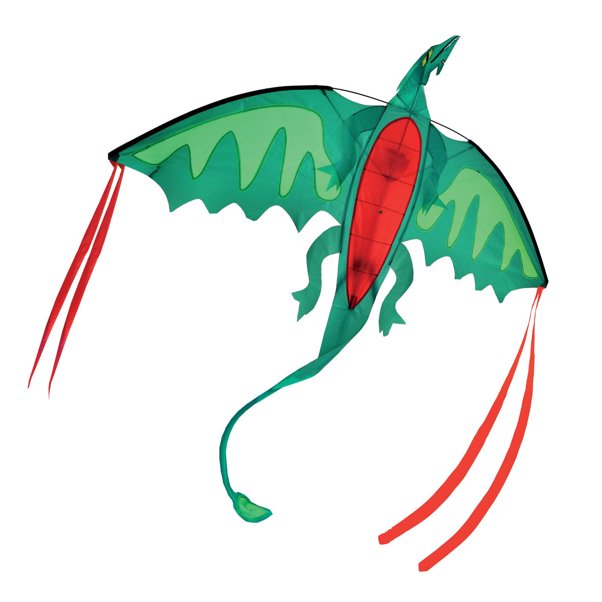 Winged Dragon Shaped Kite P4