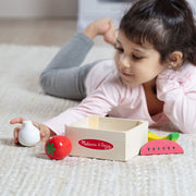 Wooden Food Groups Play Set – Produce L1